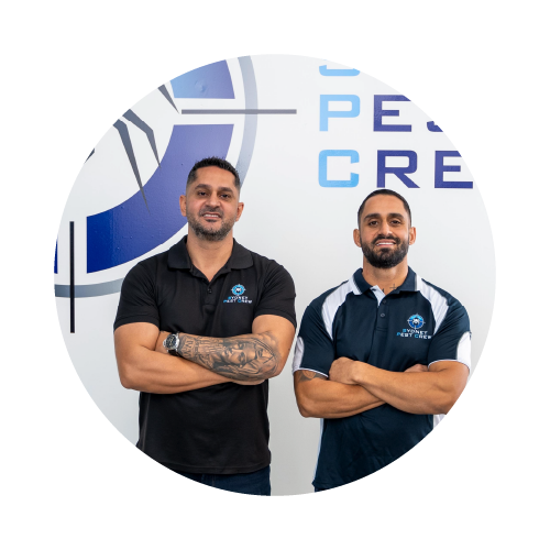 Professional Services