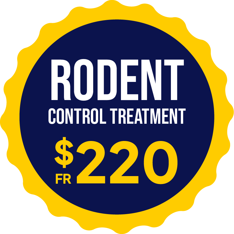 Rodent Promotions